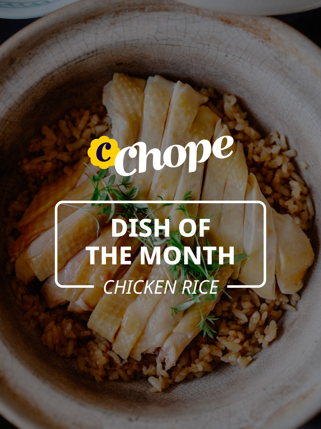 On The Menu | Chicken-Rice-iPadPro